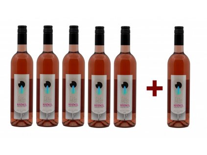 ROSÉNCO2 2023 (5+1), perlivé víno