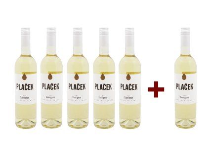 Sauvignon mzv 5+1