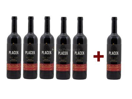 Merlot 2022 vzh
