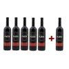 Merlot 2022 vzh