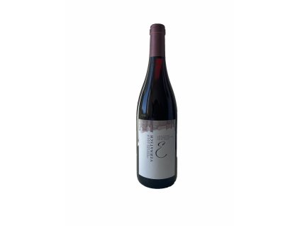Schiava Vernatsch Alto Adige Valle Isarco DOC 2019