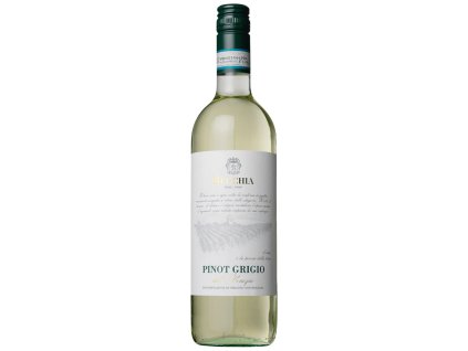 Pinot Grigio delle Venezie DOC, Recchia, 2024