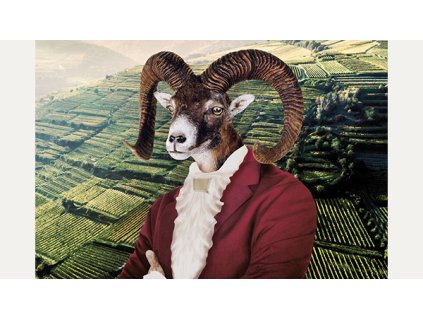 Gruner Veltliner Capra, Holzapfel, 2024