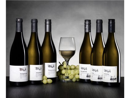 Snímek obrazovky 2025 11 07 v 12.33.47