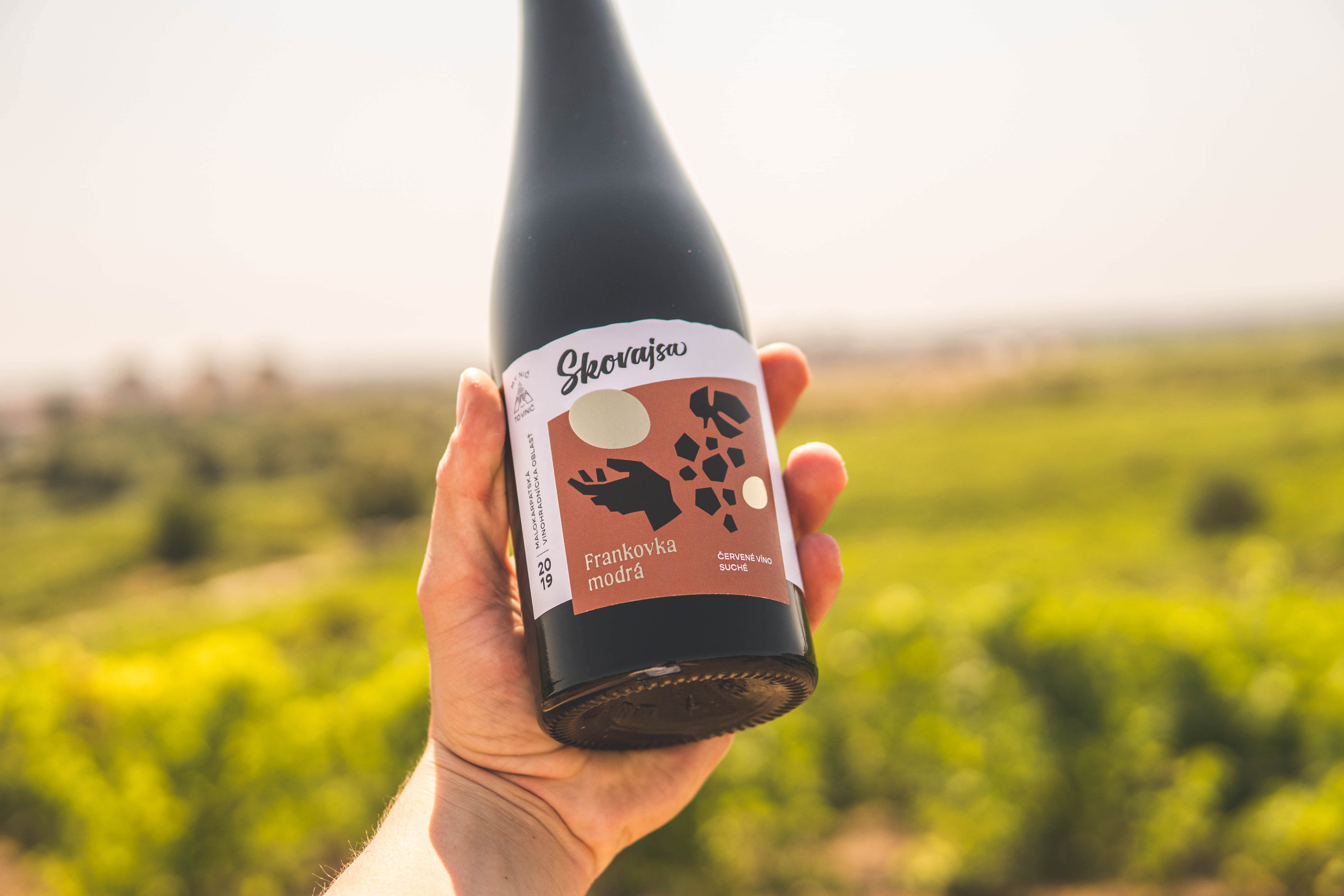 Prečo piť červené víno? - zdravotné benefity červeného vína.