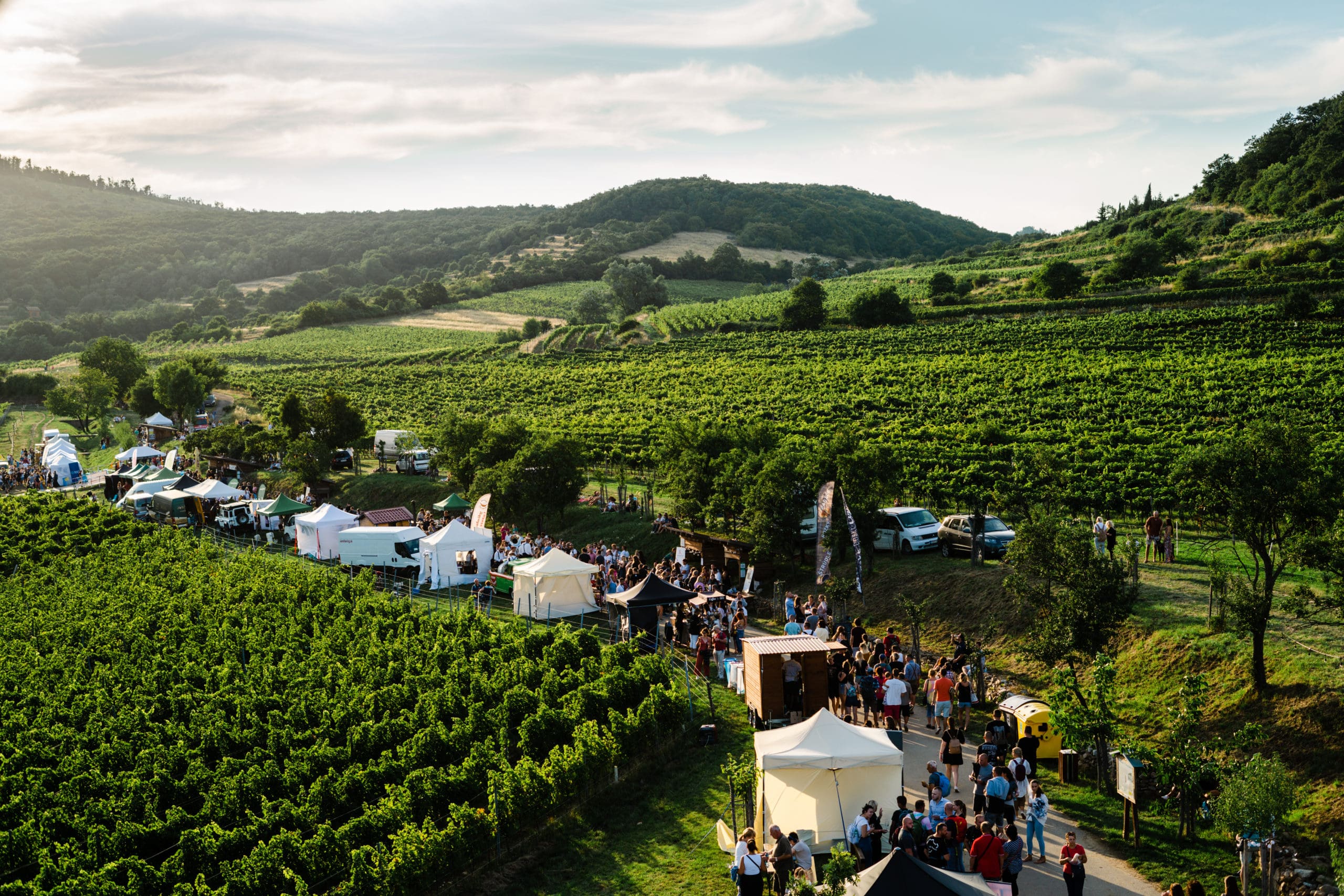 Objavte najlepšie letné vínne festivaly na Slovensku, ktorých súčasťou bude Víno Skovajsa!