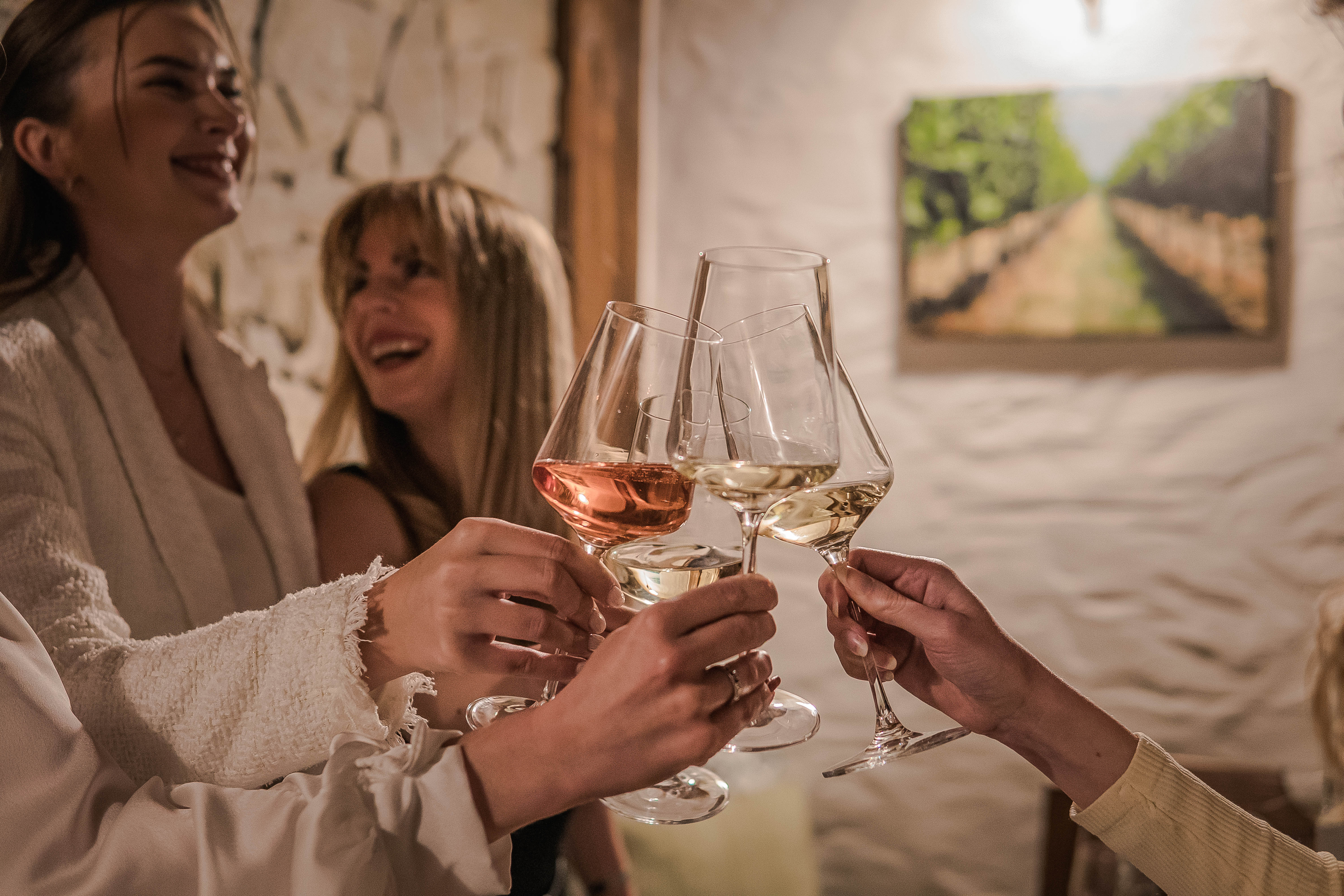 Súkromná degustácia vo vinárstve Skovajsa