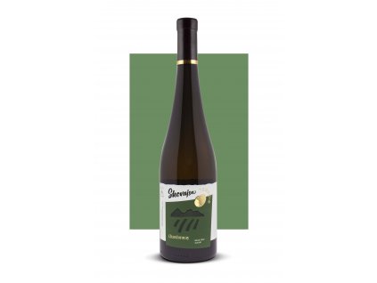 chardonnay terroir 2022 skovajsa