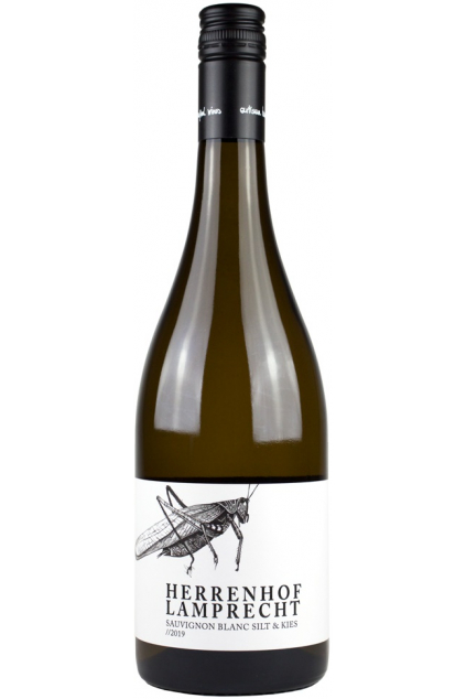 Sauvignon Blanc Silt und Kies bio 2022