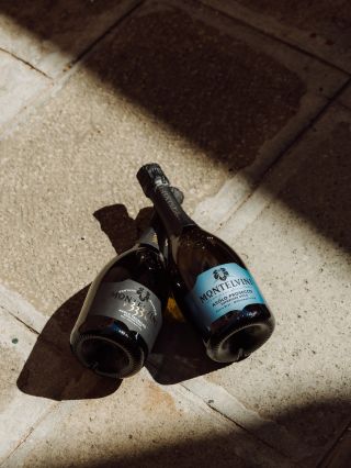 🎁 – Chcete potěšit milovníka vína, ale jedna klasická láhev se vám zdá málo? Ve Vinostradě se můžete setkat také s víny ve...