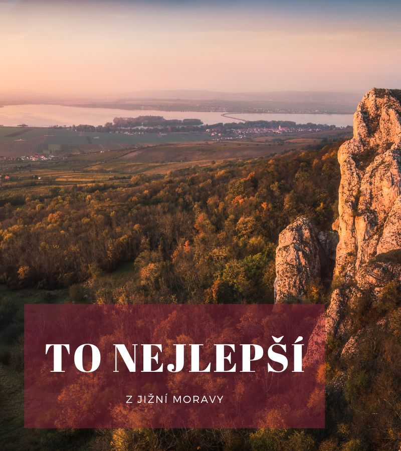 To nejlepší z Jižní Moravy - Vinotéka Pálava - vína z Pálavy