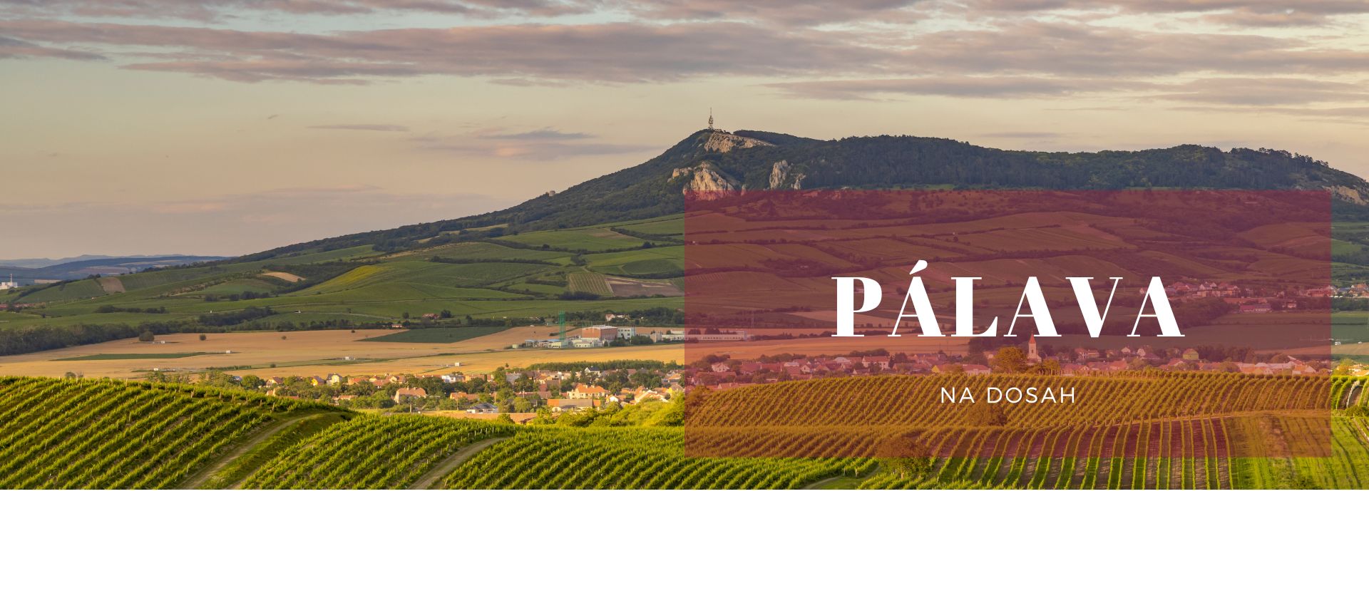 Pálava na dosah - Vinotéka Pálava - vína z Pálavy