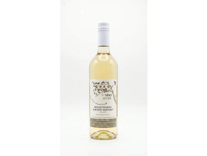 Müller Thurgau + Moravský Muškát 2024