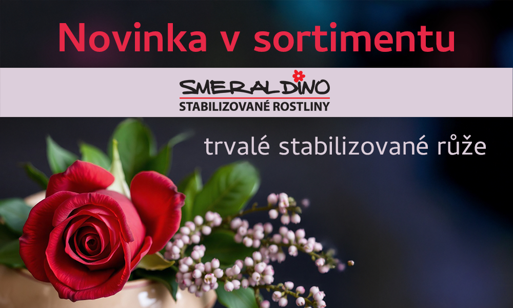 Stabilizované růže