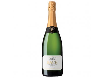 cava extrisimo brut nature 2