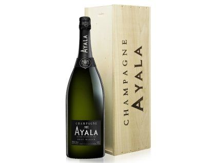 Ayala 3