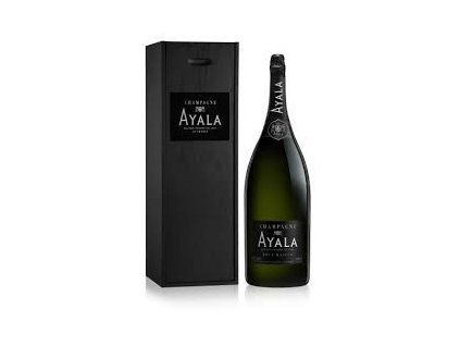 Ayala 6