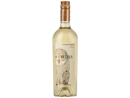 Asio Otus Bianco