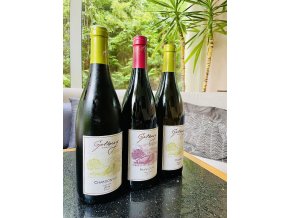 Chardonnay - barrique 2019