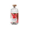102889 abstrakt vodka watermelon