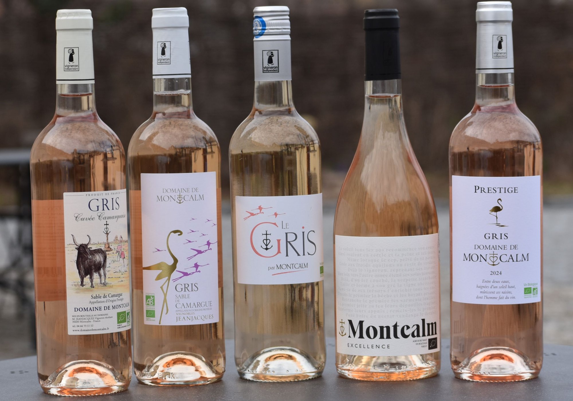 Novinka z Provence, doporučujeme!