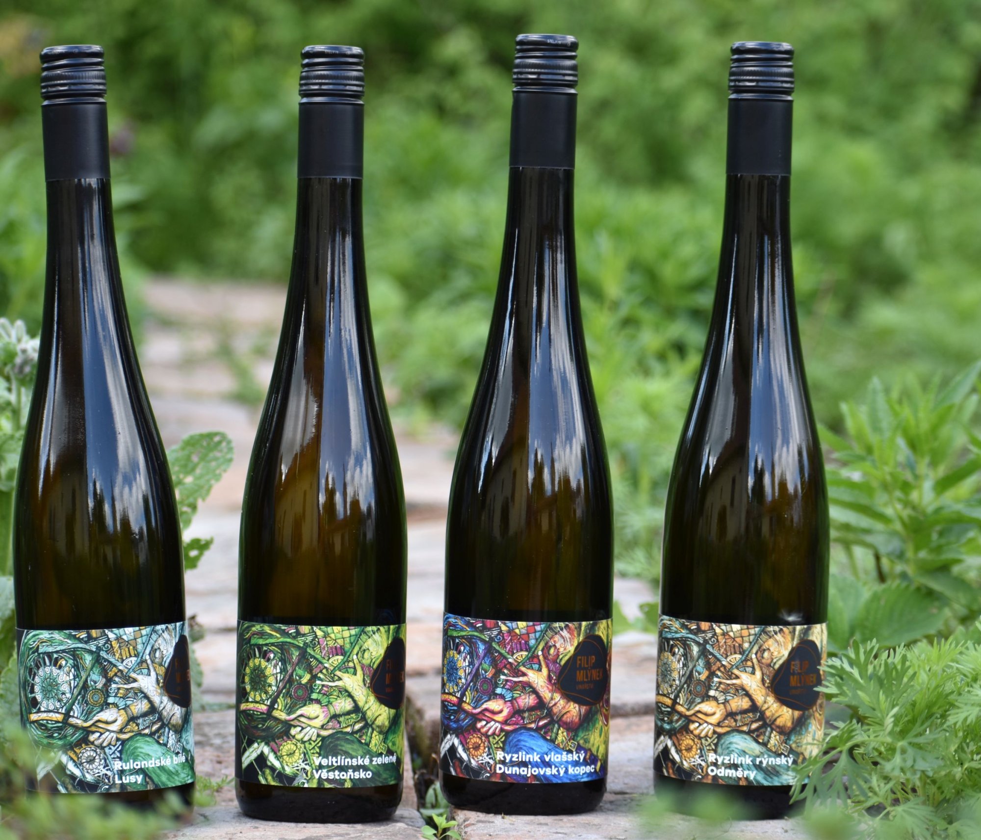 Nová vína z Vinařství Mlýnek