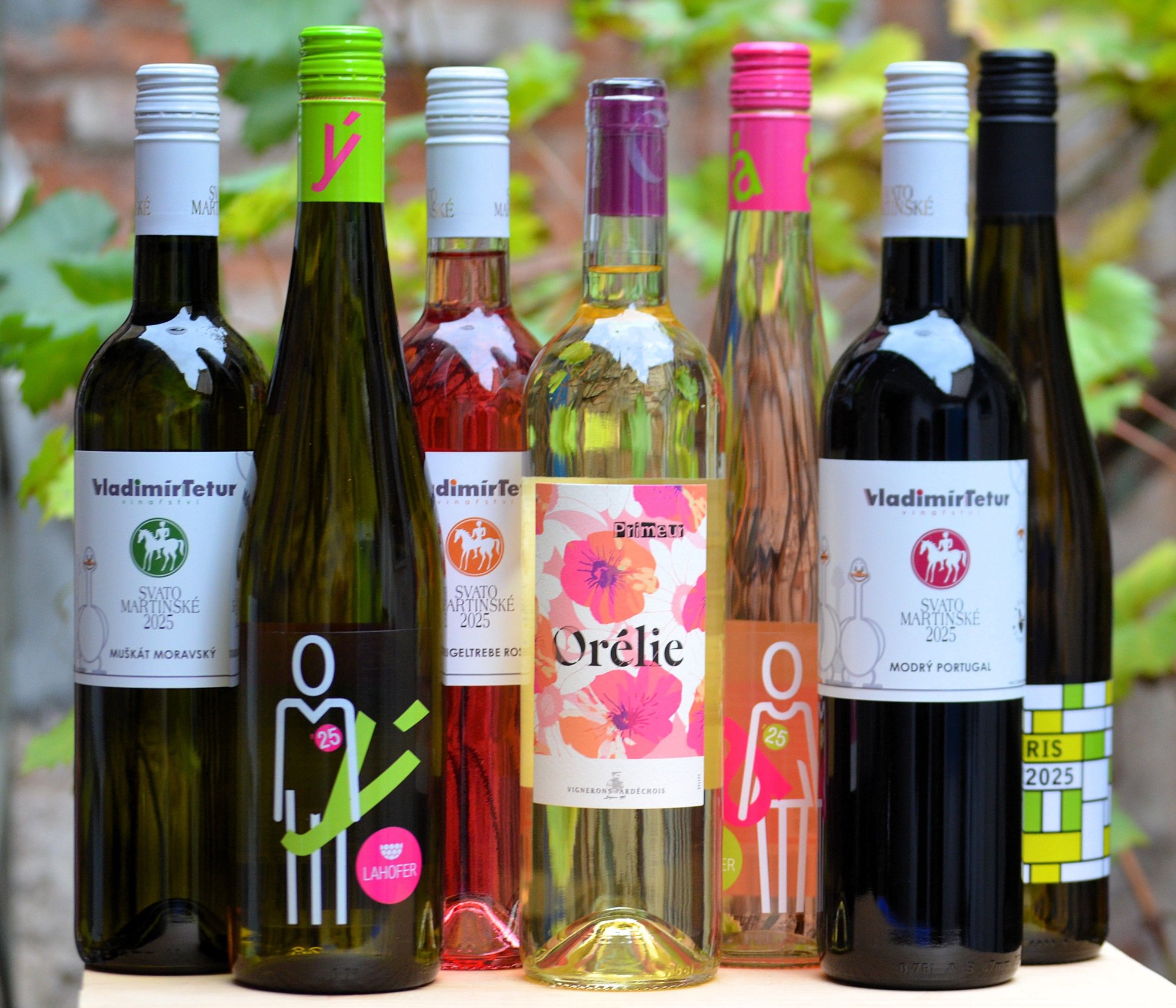 Svatomartinská a další mladá vína