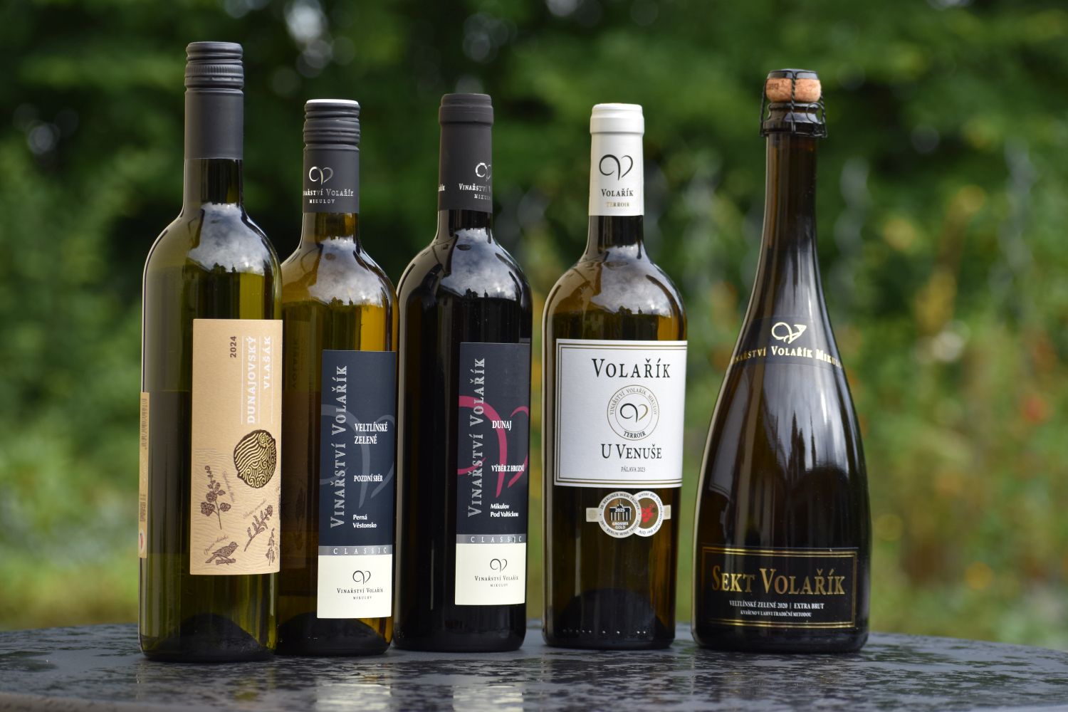 Degustace vinařství Volařík