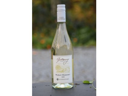 Svatomartinské - Muškát moravský š.GO125 - Gotberg, Popice