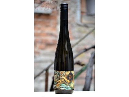 Ryzlink rýnský š.11/24 - Mlýnek Filip, Dolní Dunajovice