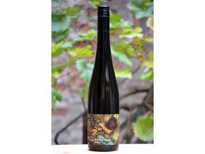 Ryzlink rýnský š.32/24 - Mlýnek Filip, Dolní Dunajovice