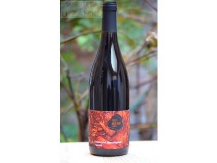 Cabernet Sauvignon š.28/22 - Mlýnek Filip, Dolní Dunajovice