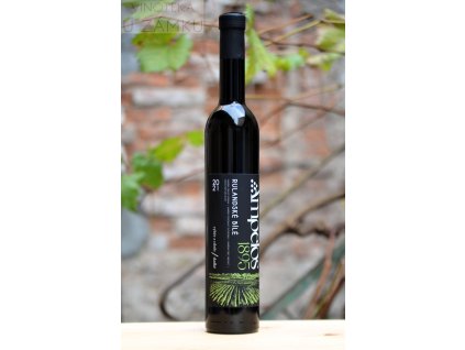 Rulandské bílé š.2134 - Ampelos,Šlechtitelská stanice vinařská Znonjmo