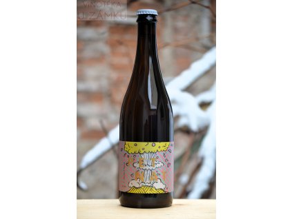 PET NAT - Ryzlink vlašský a ryzlink rýnský š.29/25C - PPS Vinařství Strachotín