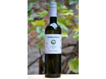 Svatomartinské - Muškát moravský š.591- Tetur Vladimír, Velké Bílovice