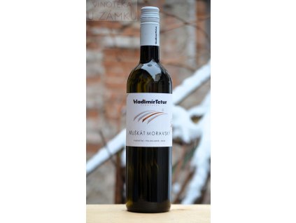 Muškát moravský š.503 - Tetur Vladimír, Velké Bílovice