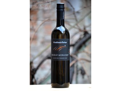 Muškát moravský š.502 - Tetur Vladimír, Velké Bílovice