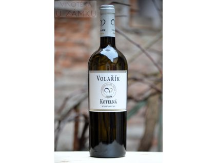 Ryzlink vlašský š.2326 - Volařík, Mikulov