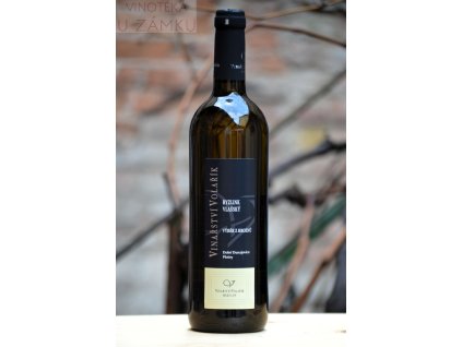 Ryzlink vlašský š.2221 - Volařík, Mikulov