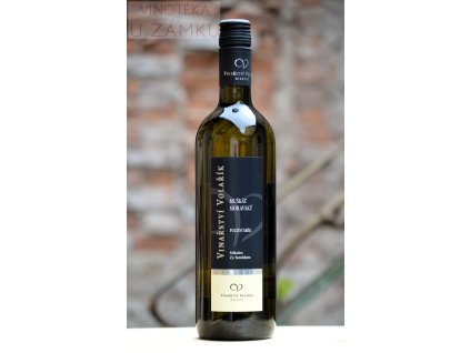 Muškát moravský š.2424 - Volařík, Mikulov