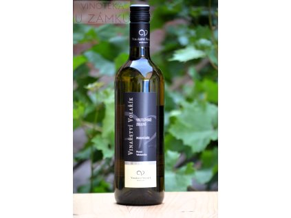 Veltlínské zelené š.2303 - Volařík, Mikulov