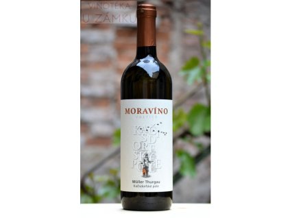 Müller Thurgau š.1019 - Moravíno, Valtice