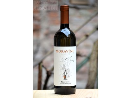 Sauvignon š.974 - Moravíno, Valtice