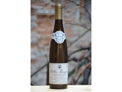 Müller Thurgau š.2023 - Žernosecké vinařství, Velké Žernoseky