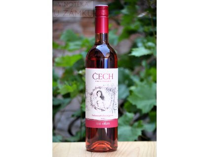 Cabernet Sauvignon rosé š.5523B - Čech, Tvrdonice