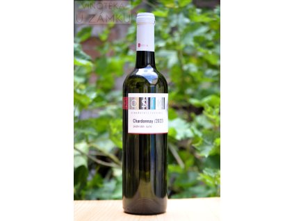 Chardonnay š.2723 - Kosík Pavel, Tvrdonice