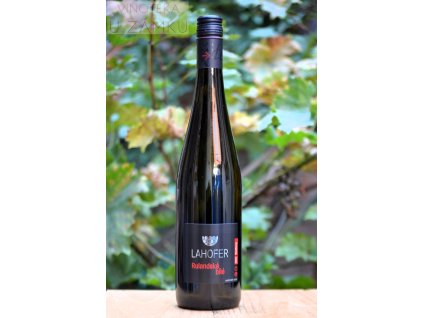 Rulandské bílé š.3124- Lahofer, Dobšice