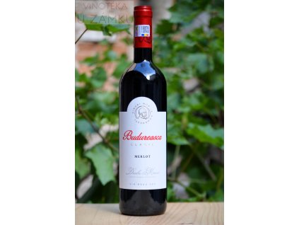 Merlot Clasic - Budureasca