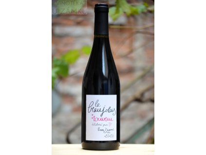 Beaujolais Nouveau 2025 - Pierre Dupond