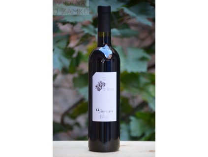Marselan "Nos Parcelles" 2021 - Domaine Bassac